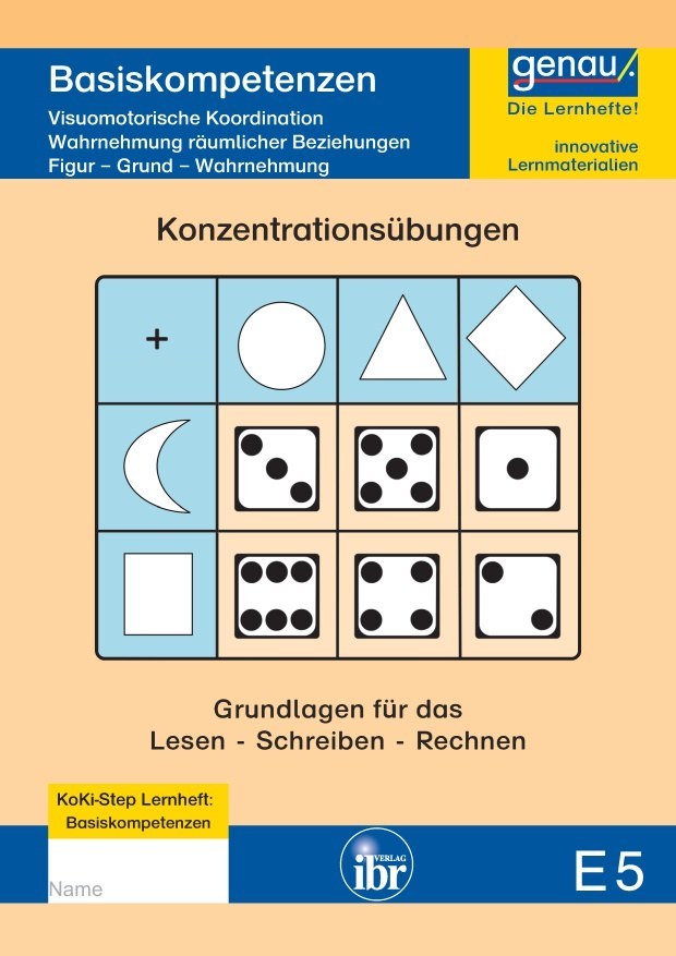 E5 von klein nach groß/ Muster und Form zuordnen/Fehlendes ergänzen